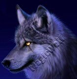 Immagine profilo di magic-wolf